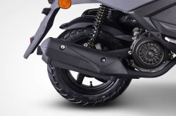 SIMONINI TRENTO 50